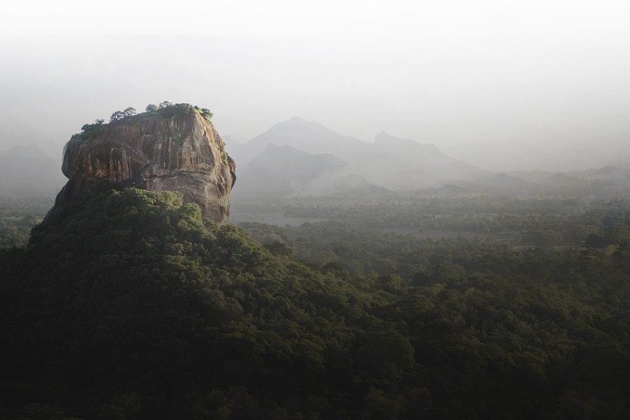 Wildlife Giants Of Two Worlds